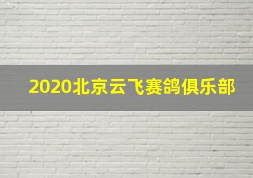 2020北京云飞赛鸽俱乐部