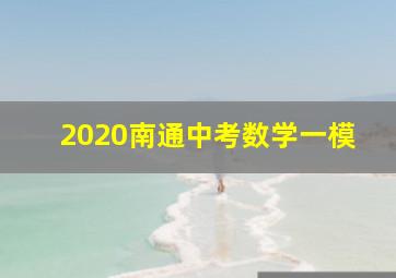 2020南通中考数学一模