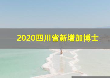 2020四川省新增加博士