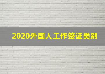 2020外国人工作签证类别