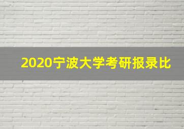 2020宁波大学考研报录比