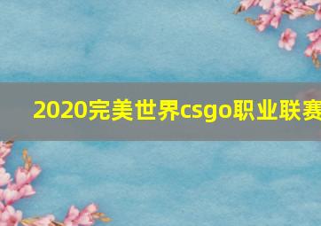 2020完美世界csgo职业联赛