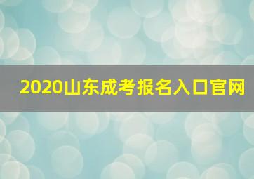 2020山东成考报名入口官网