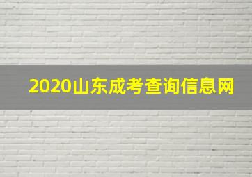 2020山东成考查询信息网