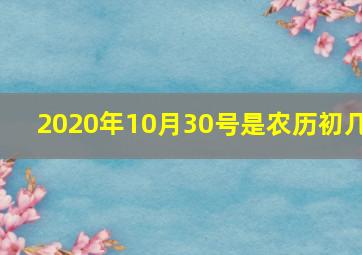 2020年10月30号是农历初几