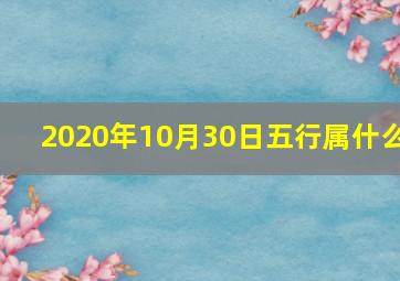 2020年10月30日五行属什么