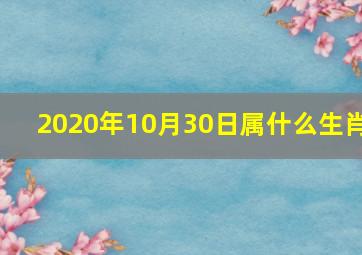 2020年10月30日属什么生肖