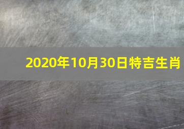 2020年10月30日特吉生肖