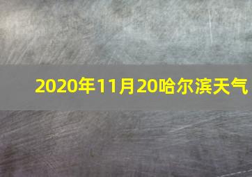 2020年11月20哈尔滨天气