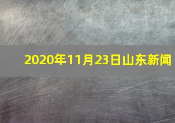 2020年11月23日山东新闻