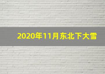 2020年11月东北下大雪