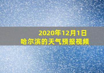 2020年12月1日哈尔滨的天气预报视频