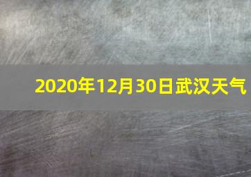 2020年12月30日武汉天气