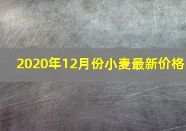 2020年12月份小麦最新价格