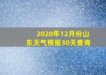 2020年12月份山东天气预报30天查询