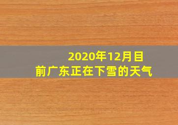 2020年12月目前广东正在下雪的天气