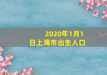 2020年1月1日上海市出生人口