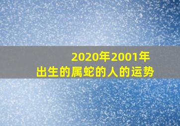 2020年2001年出生的属蛇的人的运势