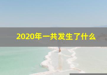 2020年一共发生了什么