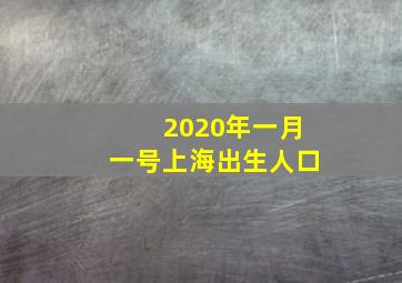 2020年一月一号上海出生人口