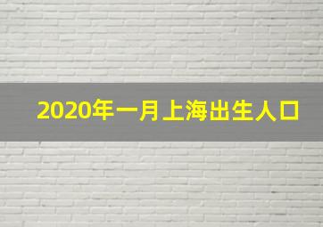 2020年一月上海出生人口