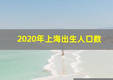 2020年上海出生人口数