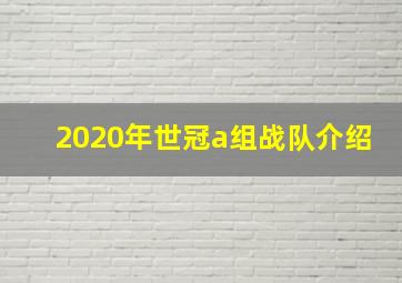 2020年世冠a组战队介绍