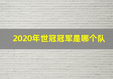 2020年世冠冠军是哪个队