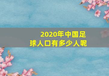 2020年中国足球人口有多少人呢