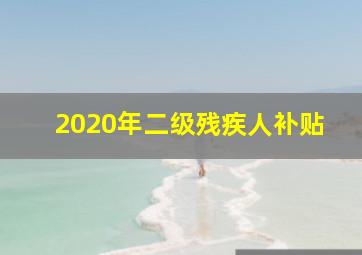 2020年二级残疾人补贴