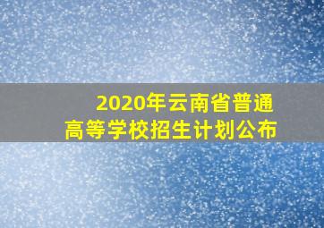 2020年云南省普通高等学校招生计划公布