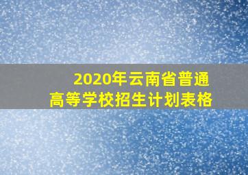 2020年云南省普通高等学校招生计划表格