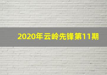 2020年云岭先锋第11期