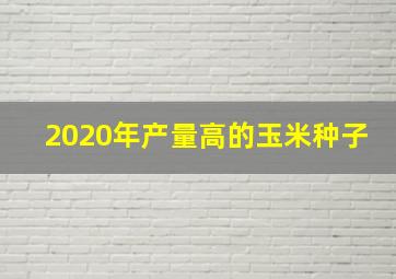 2020年产量高的玉米种子