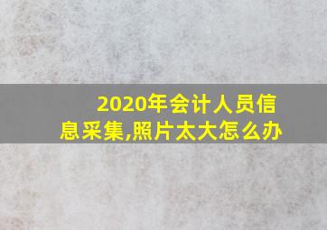 2020年会计人员信息采集,照片太大怎么办