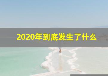 2020年到底发生了什么