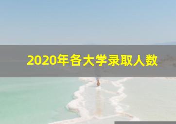 2020年各大学录取人数