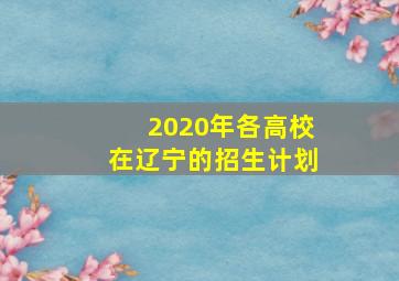 2020年各高校在辽宁的招生计划