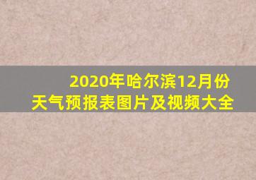 2020年哈尔滨12月份天气预报表图片及视频大全