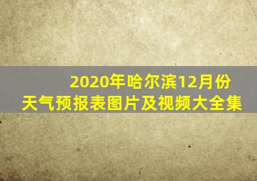 2020年哈尔滨12月份天气预报表图片及视频大全集