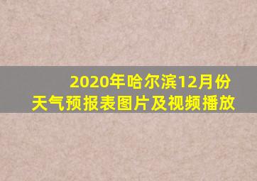 2020年哈尔滨12月份天气预报表图片及视频播放