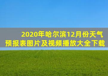 2020年哈尔滨12月份天气预报表图片及视频播放大全下载