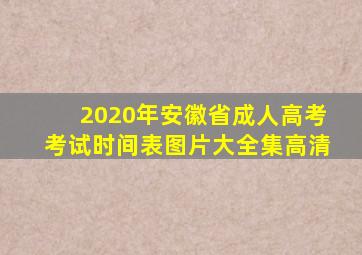 2020年安徽省成人高考考试时间表图片大全集高清