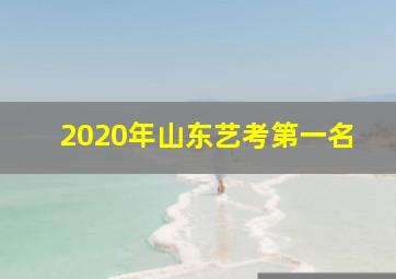 2020年山东艺考第一名