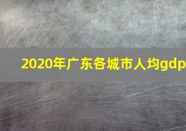 2020年广东各城市人均gdp