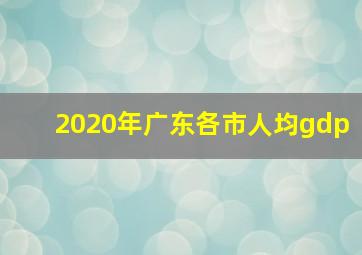 2020年广东各市人均gdp