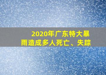 2020年广东特大暴雨造成多人死亡、失踪