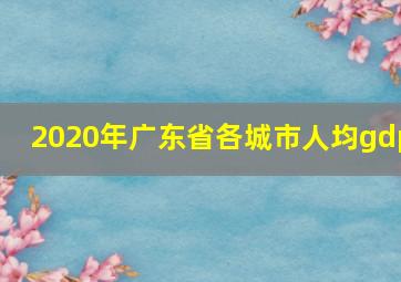 2020年广东省各城市人均gdp