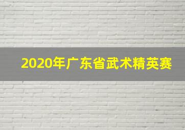 2020年广东省武术精英赛