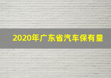 2020年广东省汽车保有量